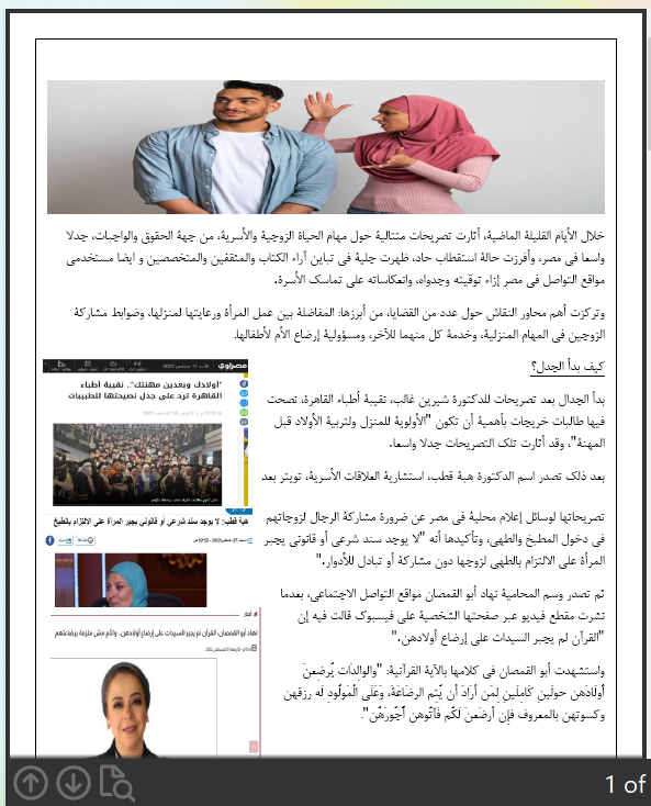 جدل في مصر حول واجبات الزوجة - صورة الغلاف