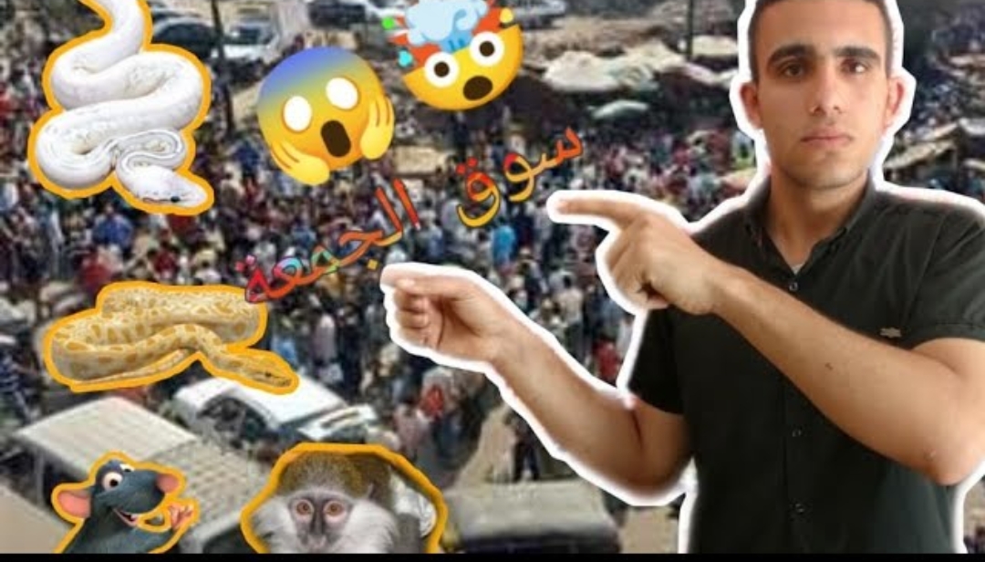 فلوج سوق الجمعة - صورة الغلاف