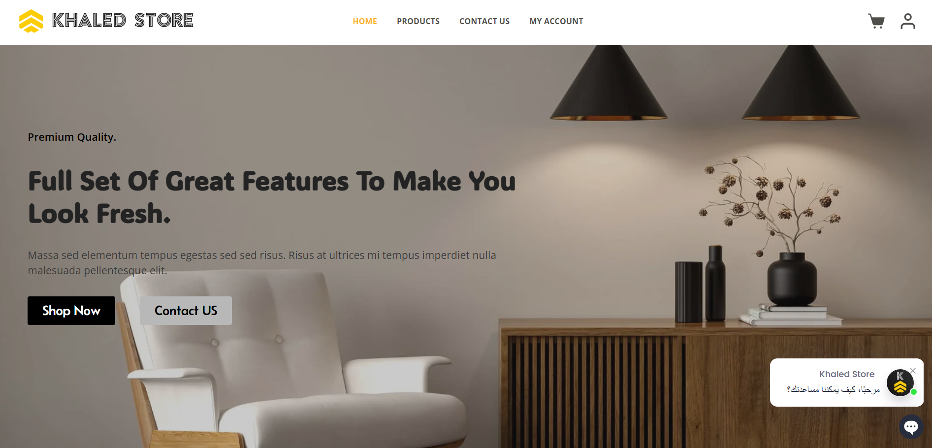 بناء متجر الكتروني احترافي