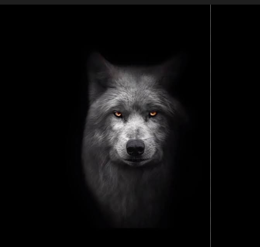 ماذا تقول الحرب عن إيران؟