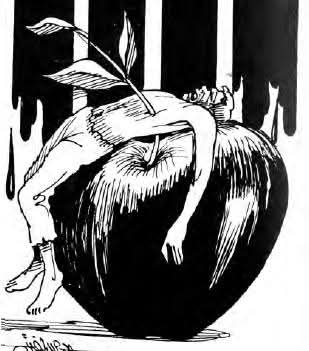 كتاب بعنوان ثمانية